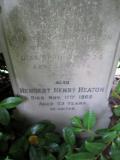 image of grave number 576837